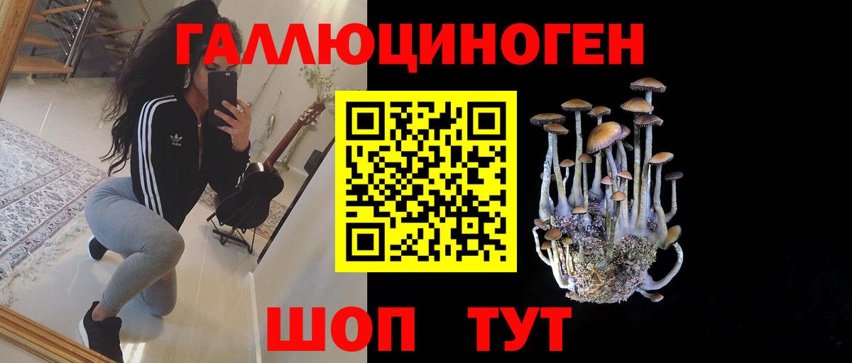Галлюциногенные грибы Magic Shrooms Сухой Лог