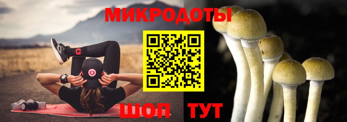 Сухой Лог  Галлюциногенные грибы MAGIC MUSHROOMS  Вход с VPN 